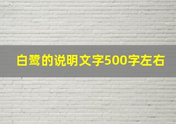 白鹭的说明文字500字左右