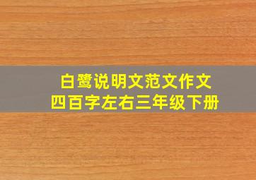 白鹭说明文范文作文四百字左右三年级下册