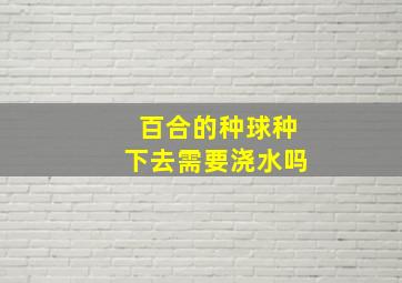 百合的种球种下去需要浇水吗