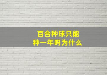 百合种球只能种一年吗为什么