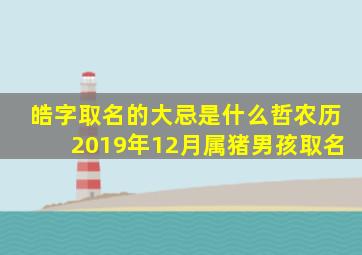 皓字取名的大忌是什么哲农历2019年12月属猪男孩取名