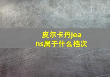 皮尔卡丹jeans属于什么档次