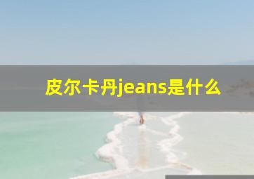 皮尔卡丹jeans是什么