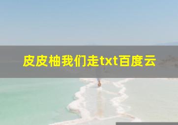 皮皮柚我们走txt百度云