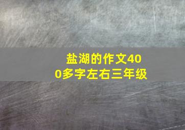 盐湖的作文400多字左右三年级