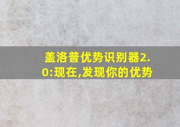 盖洛普优势识别器2.0:现在,发现你的优势