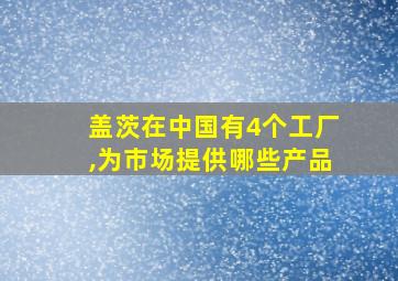 盖茨在中国有4个工厂,为市场提供哪些产品