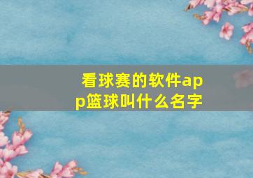 看球赛的软件app篮球叫什么名字