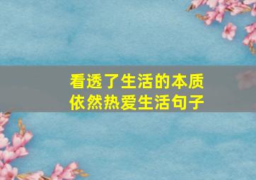 看透了生活的本质依然热爱生活句子