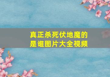 真正杀死伏地魔的是谁图片大全视频