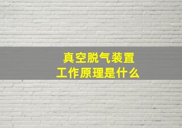 真空脱气装置工作原理是什么