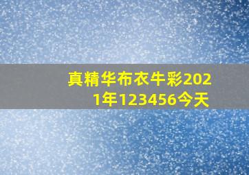 真精华布衣牛彩2021年123456今天