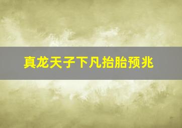 真龙天子下凡抬胎预兆