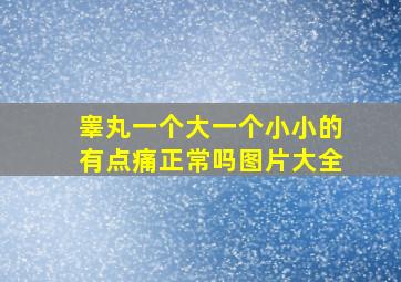 睾丸一个大一个小小的有点痛正常吗图片大全