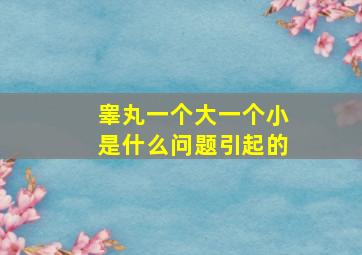 睾丸一个大一个小是什么问题引起的