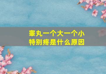 睾丸一个大一个小特别疼是什么原因