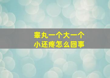 睾丸一个大一个小还疼怎么回事