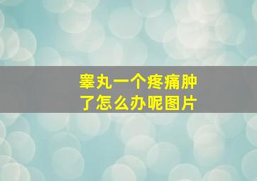 睾丸一个疼痛肿了怎么办呢图片