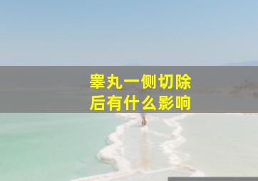 睾丸一侧切除后有什么影响