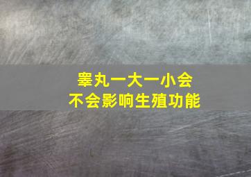 睾丸一大一小会不会影响生殖功能