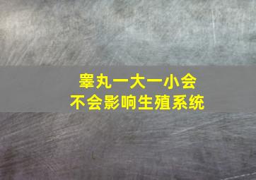 睾丸一大一小会不会影响生殖系统