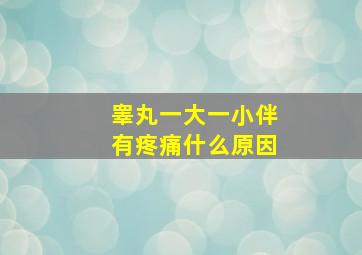 睾丸一大一小伴有疼痛什么原因