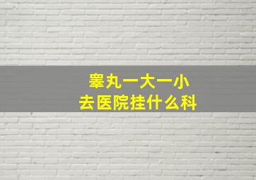 睾丸一大一小去医院挂什么科