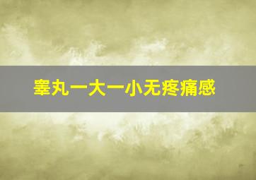 睾丸一大一小无疼痛感