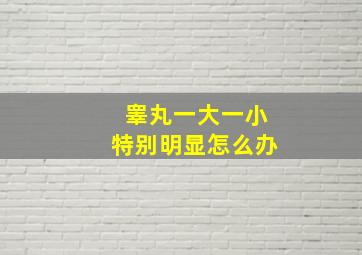 睾丸一大一小特别明显怎么办