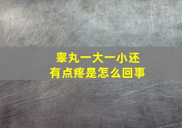 睾丸一大一小还有点疼是怎么回事