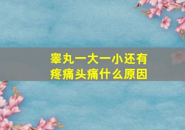 睾丸一大一小还有疼痛头痛什么原因