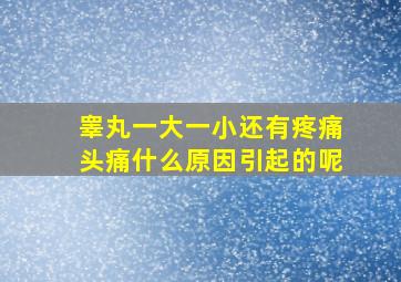 睾丸一大一小还有疼痛头痛什么原因引起的呢