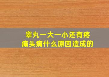 睾丸一大一小还有疼痛头痛什么原因造成的