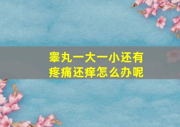 睾丸一大一小还有疼痛还痒怎么办呢