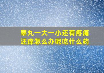 睾丸一大一小还有疼痛还痒怎么办呢吃什么药