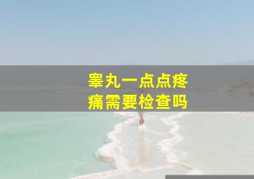 睾丸一点点疼痛需要检查吗