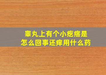 睾丸上有个小疙瘩是怎么回事还痒用什么药