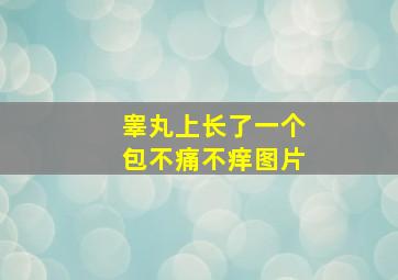 睾丸上长了一个包不痛不痒图片