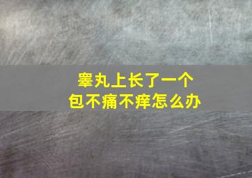 睾丸上长了一个包不痛不痒怎么办