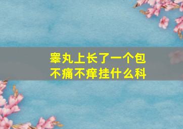 睾丸上长了一个包不痛不痒挂什么科