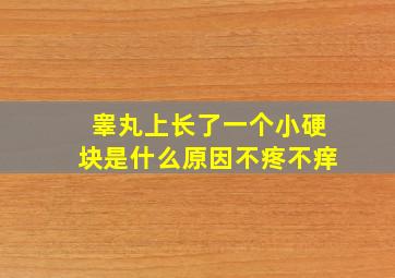 睾丸上长了一个小硬块是什么原因不疼不痒