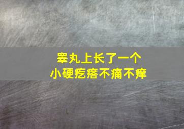 睾丸上长了一个小硬疙瘩不痛不痒