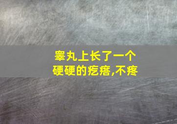 睾丸上长了一个硬硬的疙瘩,不疼