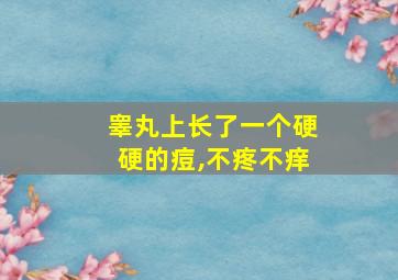 睾丸上长了一个硬硬的痘,不疼不痒