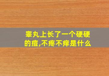 睾丸上长了一个硬硬的痘,不疼不痒是什么