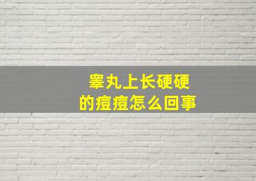 睾丸上长硬硬的痘痘怎么回事