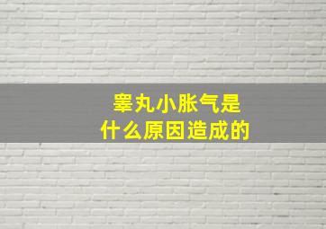 睾丸小胀气是什么原因造成的