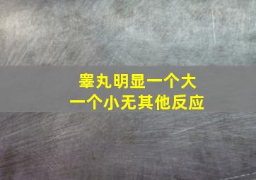 睾丸明显一个大一个小无其他反应