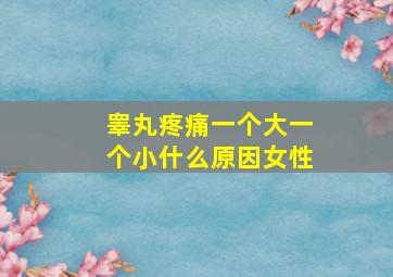 睾丸疼痛一个大一个小什么原因女性