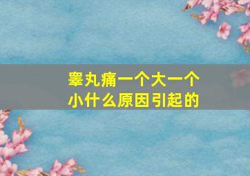 睾丸痛一个大一个小什么原因引起的